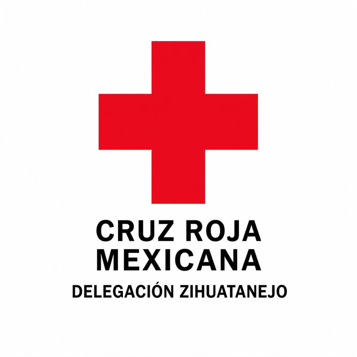 CRUZ ROJA ESTADOS FINANCIEROS JUNIO 2026